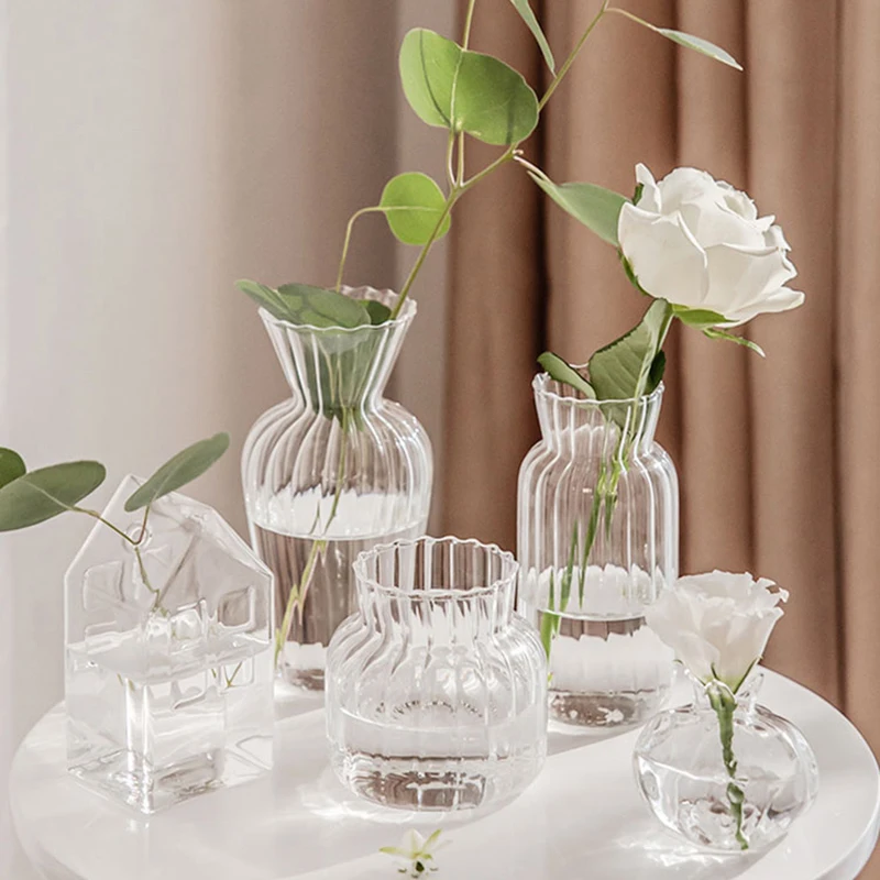 Glass Flower Vase for Home Clear Vase Mini Vase Flowers for Vase Modern