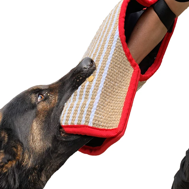 Accessoire de dressage 3 en 1 chien de formation, de