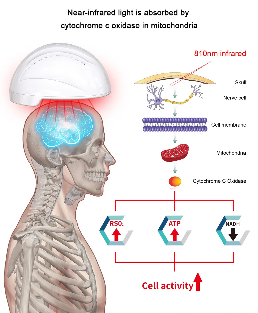 Suyzeko Photobiomodulation Brain Wave Helm 810 nm Infrarot-LED-Lichttherapie Frequenzkontrolle Gehirnheizung Massagegeräte – Detail 5