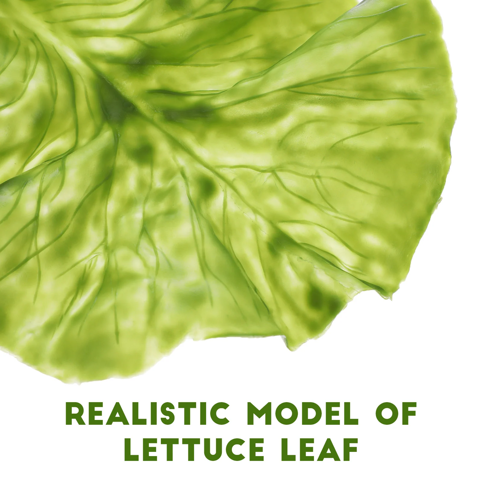 Simulated Cabbage Model Vegetables 3 Pcs food model food photography props kitchen food toys vegetable ornaments For Props Ornaments Photography Fake Leaf Pvc Food Decor Simulation Restaurant Lettuce