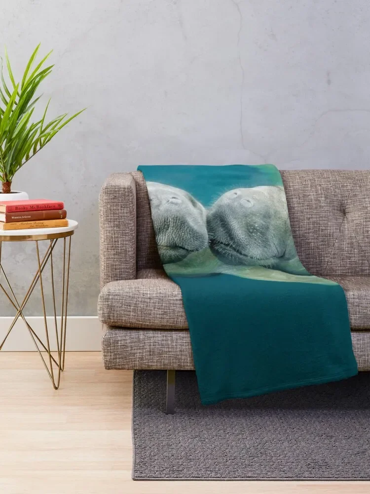 ���� ������ ���, �ܿ�� ǫ���� ���� �� ���