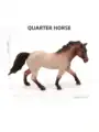 Quarter