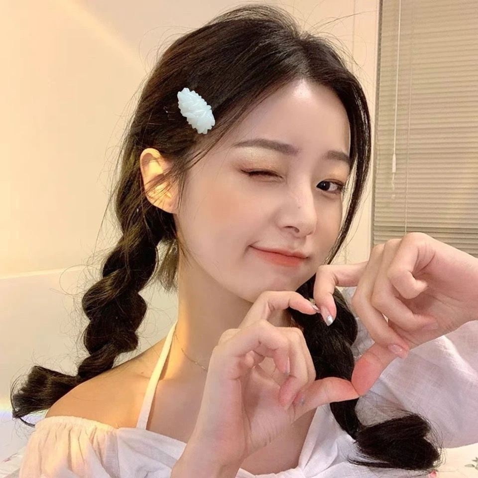 ヘアクリップ　コンプリートセット h-mkk-10789_1.jpg