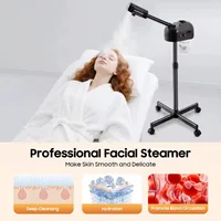 Appareil de soin du visage à vapeur, machine à vapeur d'ozone et d'ions, sauna facial pour usage domestique, hydratation de la peau et nettoyage des pores, appareil de beauté spa 2