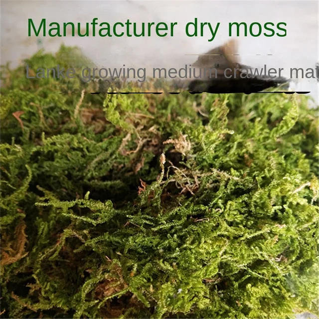 50 G 100 200 250 Szárított Moha, Hüllők, Teknősök, Kígyók, Hibernációs Szőnyegek, Oltott Orchidea Tápanyag -Műtrágya Növényekhez - Image 2