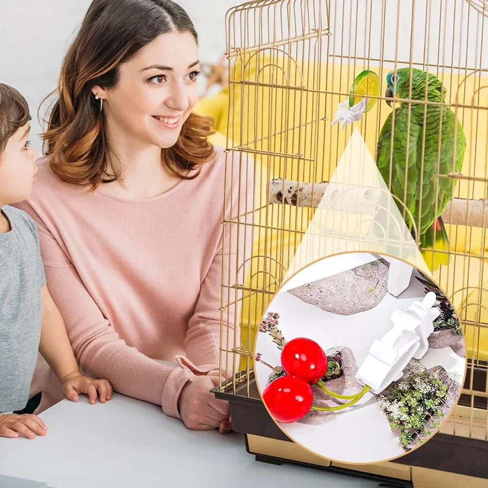 Birds Food Holder Pet Parrot Feeding Fruit Vegtable Clip Cuttlefish Bone Feeder Device Pin Clamp 12pcs Bird Cage Accessories