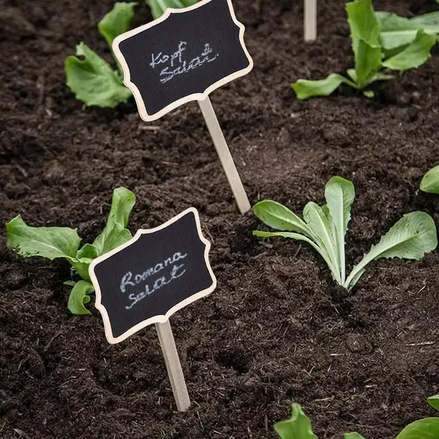 식물 이름 태그로 정원을 쉽고 즐겁게 관리하세요
