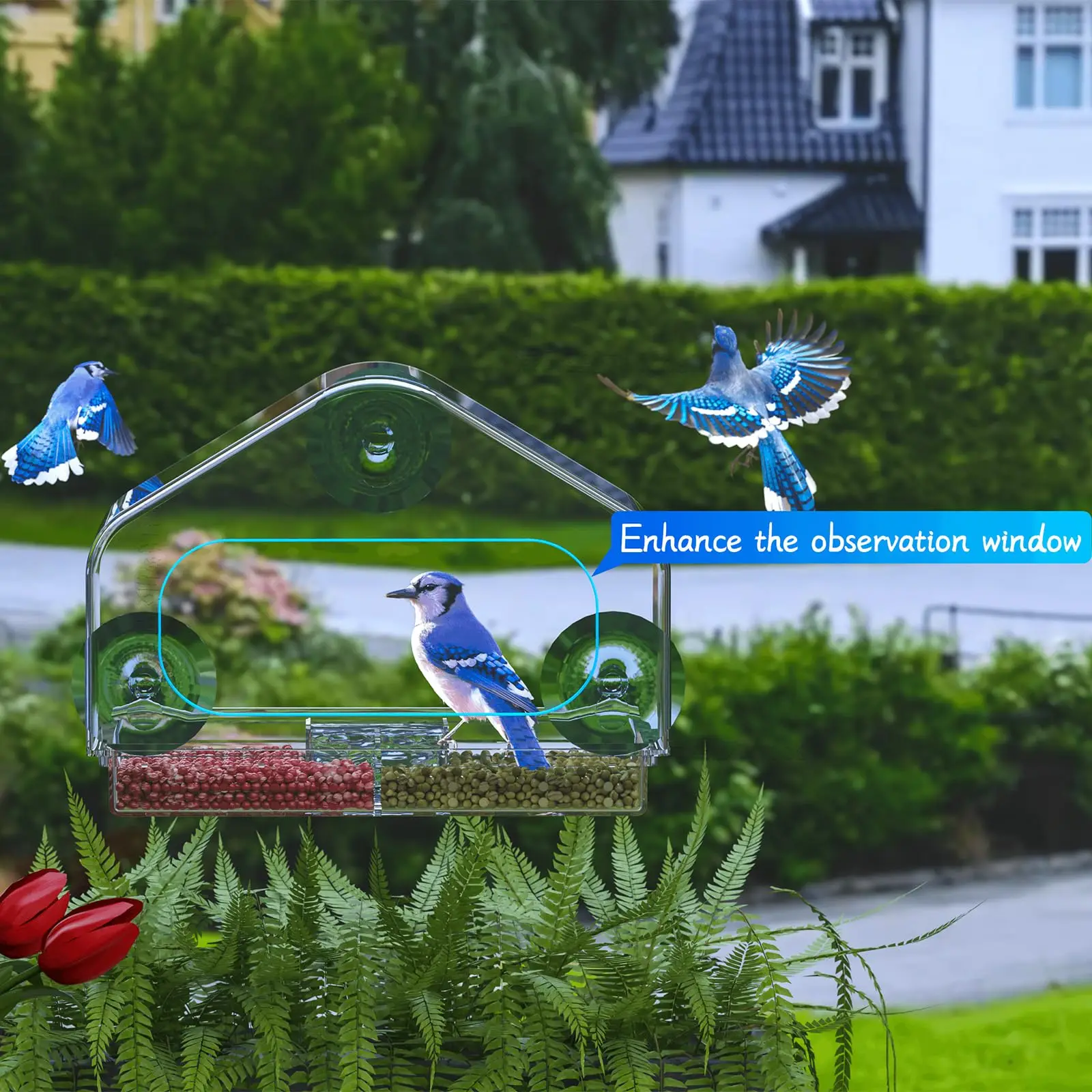 Acrylic Bird Feeder bird feeder with Suction Cup Wild Window Outside Hanging Bird Feed Tray Transparent Food Dispenser Pet Supplies