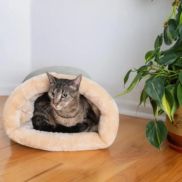 Autumn and Winter Cat Sleeping Bag Semi-enclosed Cat Nest Warm Small and Medium-sized Pet Nest Can Be Disassembled and Washed 4
