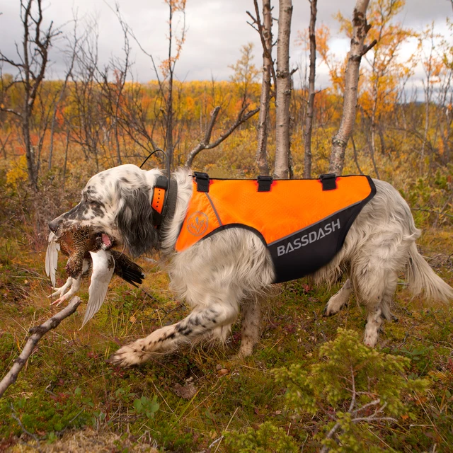 Hunting Vest Safety Vest BROWNING Full Coverage Dog Orange/Black