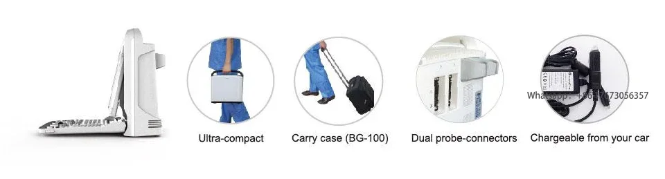 Рисунок 3 - Медицинское животное больница Chison