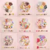1Box Mixed Cute Simulated Dessert Candy Butterfly Nail Art Decorations 3D Resin Cartoon Cat Fish Bear Nail Charms Supplies 3