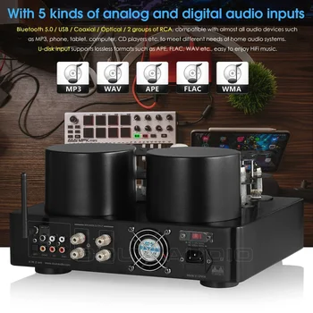 Douk Audio HiFi Hybird Stereo Valve Tube Amplifier Bluetooth 5.0 Audio Receiver COAX / OPT Power Amp USB Player 4