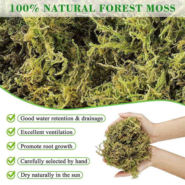 Sphagnum Moha 500 G Szárított Erdei Cserepes Keverék Növényekhez Természetes Húsevő Növény A Hüllőkhez Terrárium Dekorációhoz - Image 2