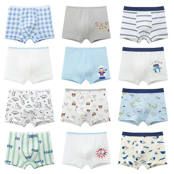 Boys Fun Printed Underwear 1