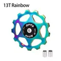 13T Rainbow