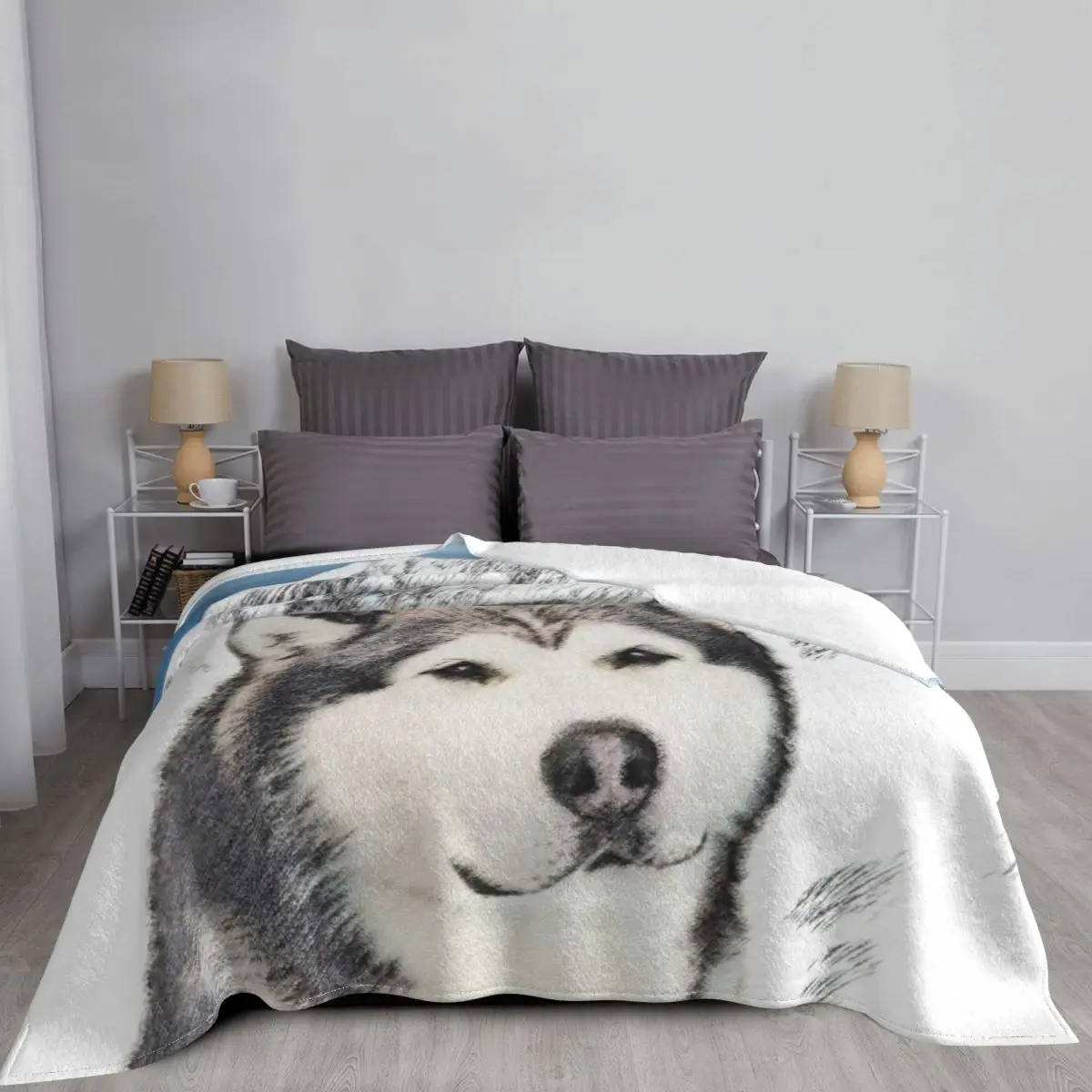 ˷ī Malamute  ,   , ǫ , 