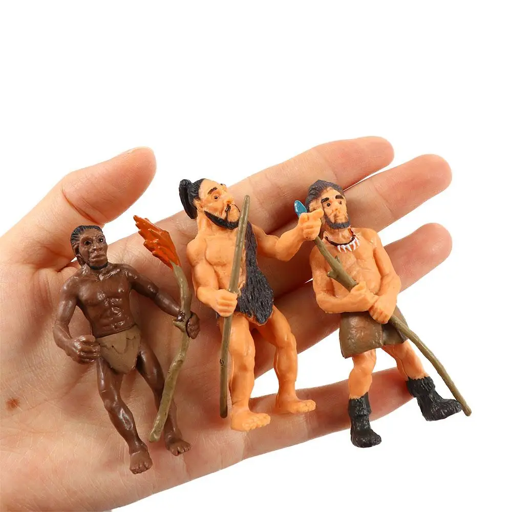 Figurine Educational toys Dragonfly Crocodile Life Growth Cycle Cobra Simulation Human Evolution Primitive Human Model