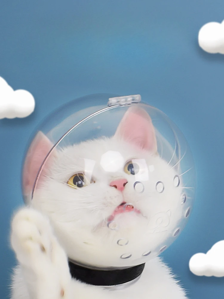

Transparent Headgear Cat Ring Kittens Collar Collar Head Cover Anti-Licking Anti-Bite