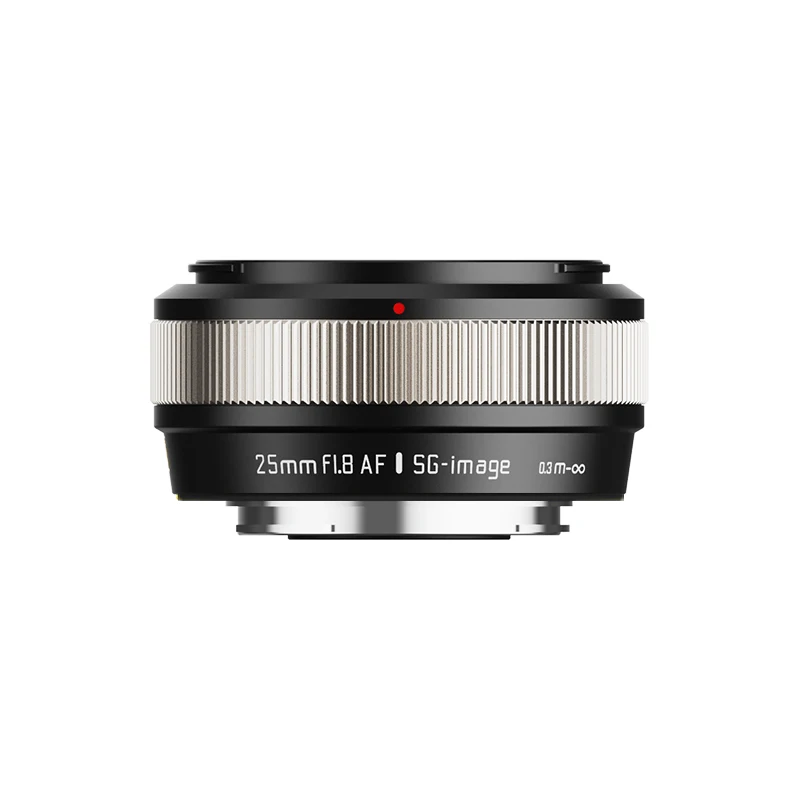 AF Lens APS-C Large Aperture Prime Camera Portrait Lenses with STM