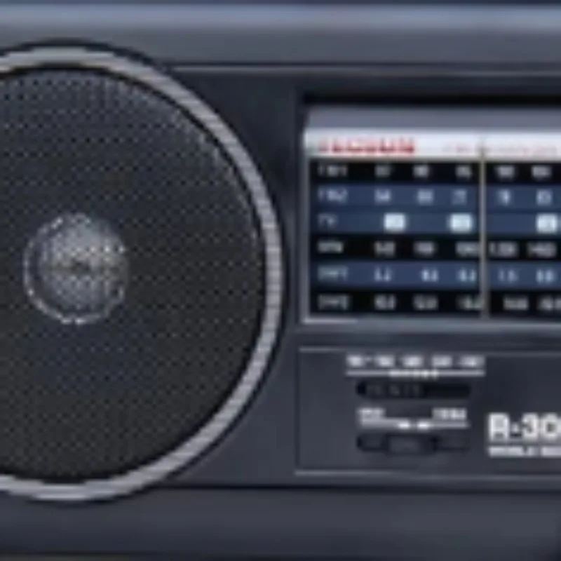 라디오 R-305P DSP 디지털 복조 해제 포인터 타입 FM AM 단파 5밴드