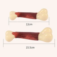 Indestructible Molar Chew Toy