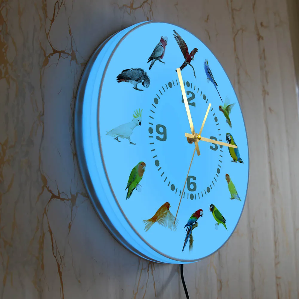 Birds Breeds Collection Modern Wall Clock Non Ticking Wall Watch Parrot Bird Pet Species Exotic Wall Art Bird Lovers Home Decor 5