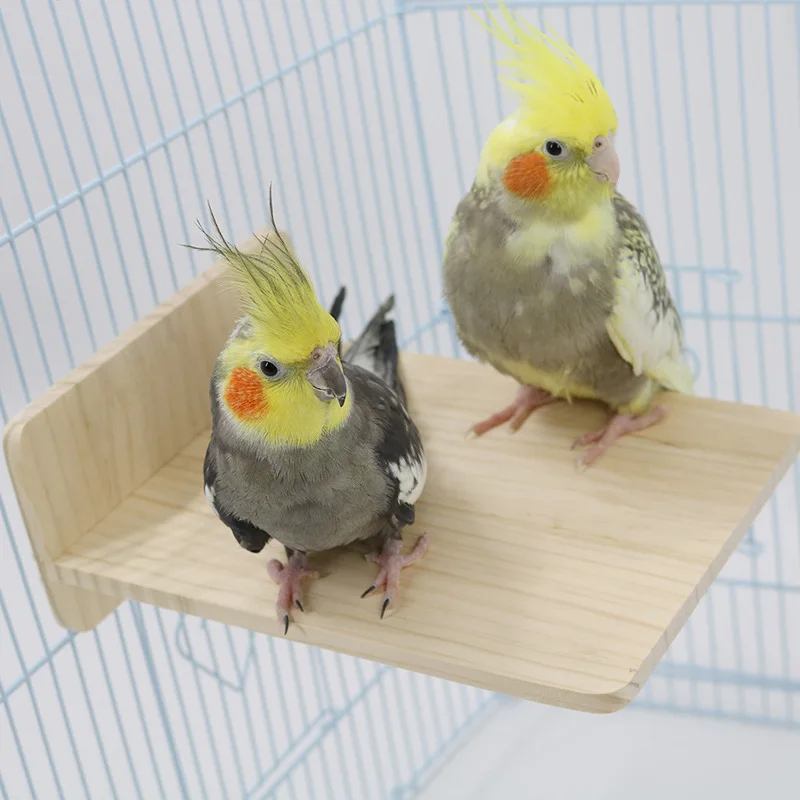 Solid wood bird toy rest platform parrot stand pet bird supplies parrot toy rope pet supplies small