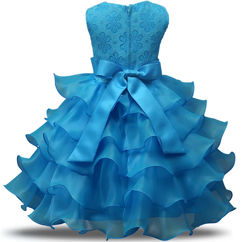 Baby Girls Floral Ball Gown Princess Dress