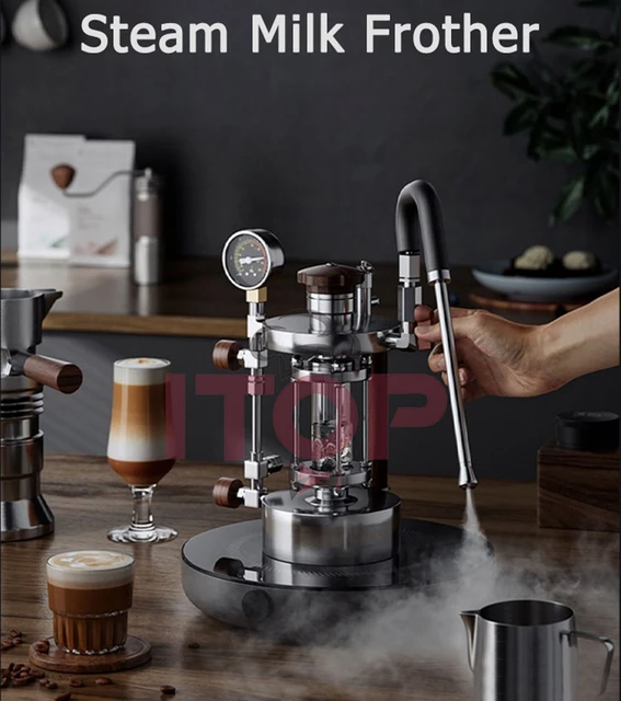 ITOP Steam Milk Frother Household Coffee Milk Foamer Espresso Coffee Maker Milk  Frother with 2 Steam Nozzle 1-5 Hole Optional - AliExpress