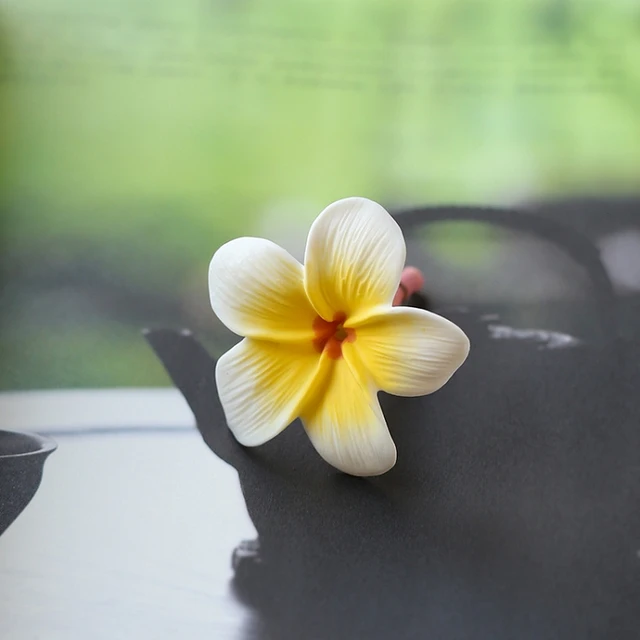 Image 17