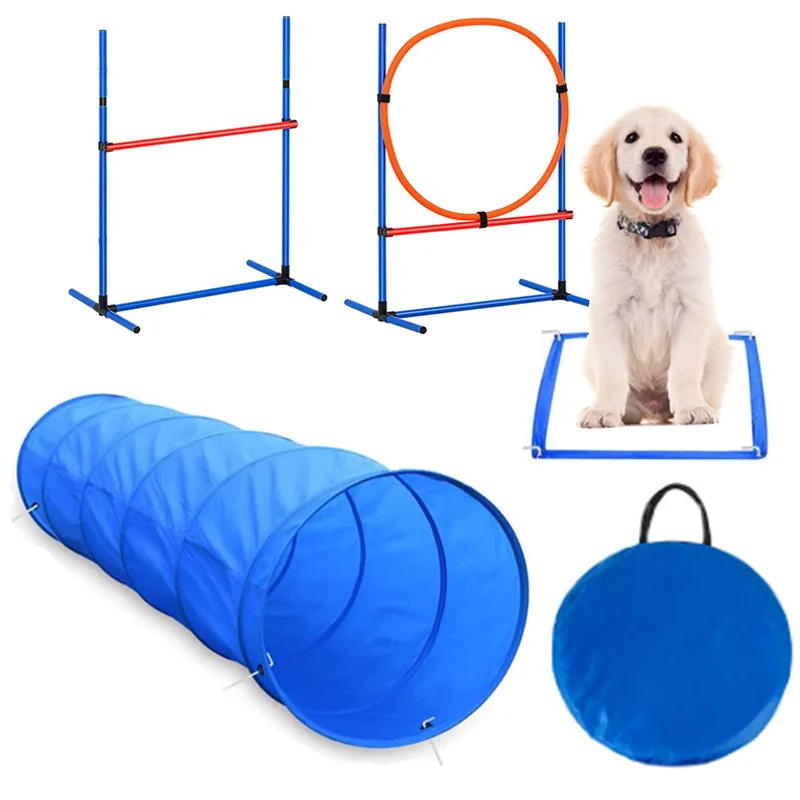 Dog obstacle training prop visual 4