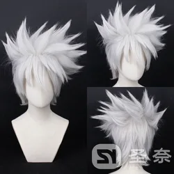 Japanese Anime Hatake Kakashi Cosplay Wig - Silver Short Style Hairpiece - One Size (Hatake Kakashi)