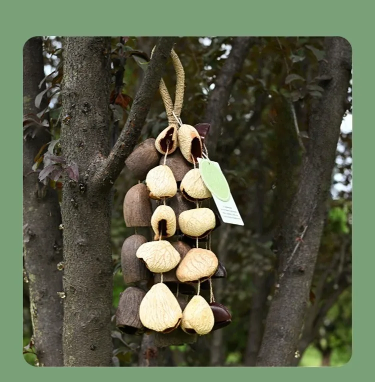 Nutshell Bell Hand Bell Meditation Sound Healing Handbell Natural Plant Indonesian Music Accompaniment Sound Therapy Instrument