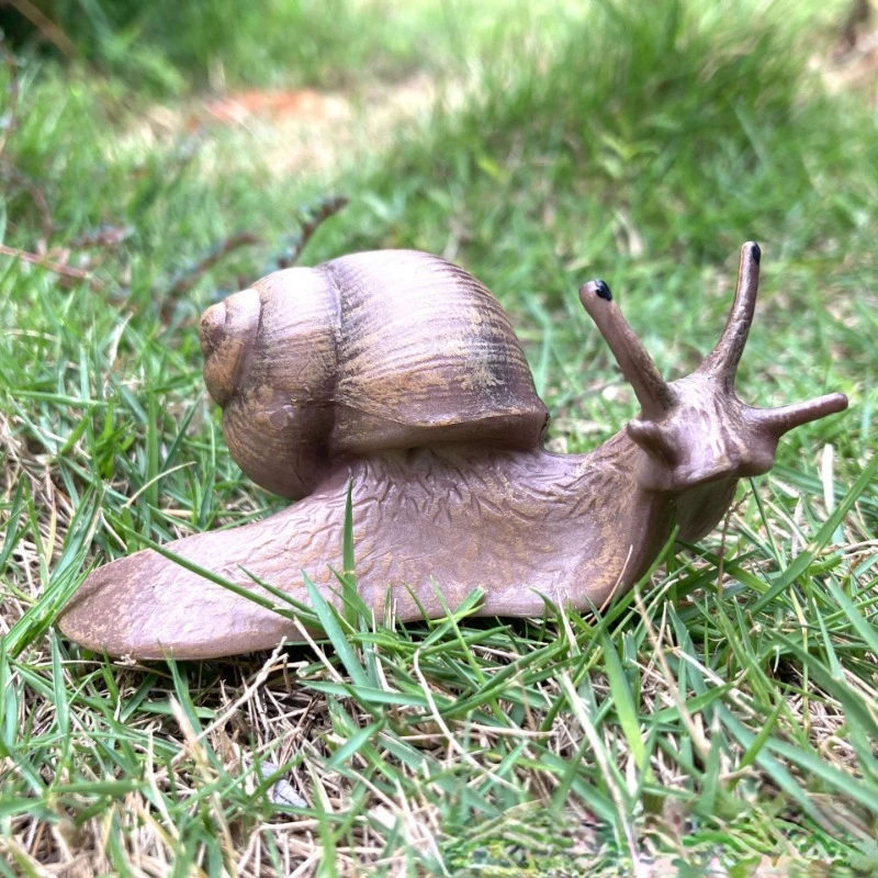 Figurine D'Escargot En Bois Réaliste - Décoration Miniature Pour Maison, Bureau Ou Jardin, Environ 5.9 Cm