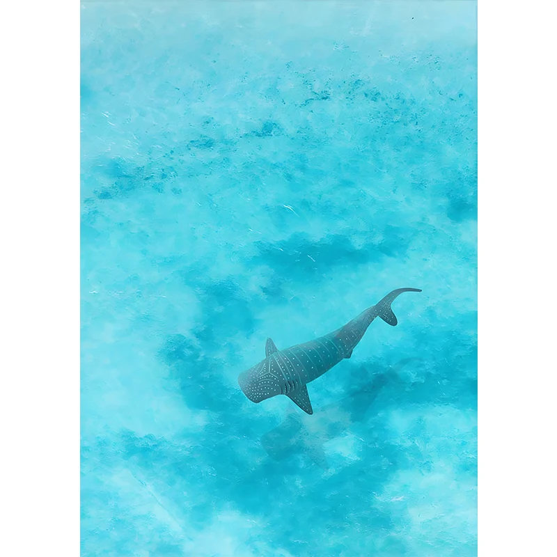 Blue Watercolor Ocean Wildlife Canvas Art