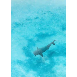 Blue Watercolor Ocean Wildlife Canvas Art - 40x60cm No Frame (WHITE)