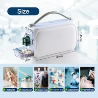 Boîte Portable Indispensable pour le Stockage des Médicaments, Insuline Unidirectionnelle, Interféron Indispensable, Nombreux Mini Réfrigérateur 6