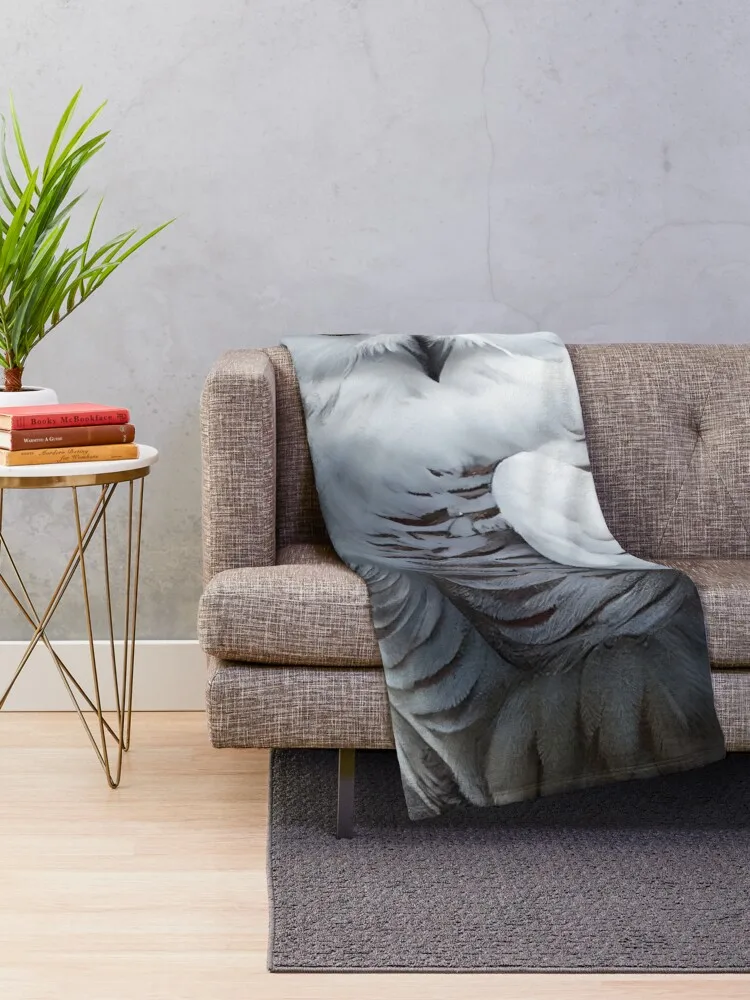 �� �û��� ������ ��� ��� ��� ��