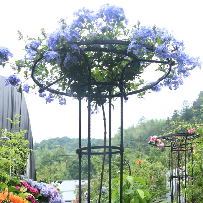 Horticultural Umbrella Frame Climbing Rose Climbing Vine Stand Plant Stand