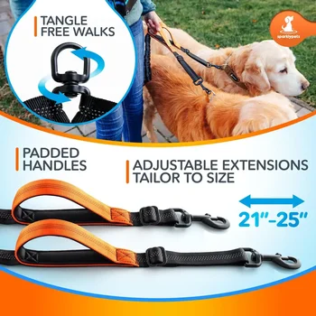 SparklyPets Double Bungee Waist Dog Leash with Back Brace – Dual Dog Leash for Medium/Large Breeds – 2 Dog Running 4