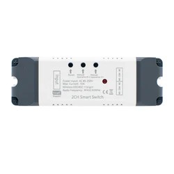 Dual - Channel Smart WiFi Switch with RF Remote Control - 2CH 85 - 250V shell