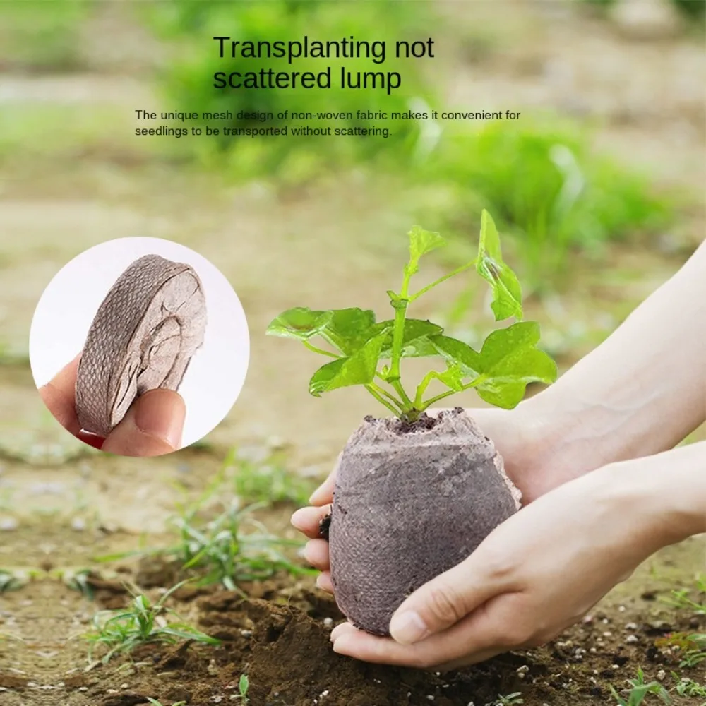 10Pcs Compress Peat Pellet Nurture Seedling Soil Block Cutting Seedling-raising Soil Seed Germination Base Material