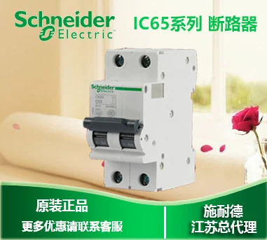 

IC65N 2P C6A A9F18206 schneider 100% new and original