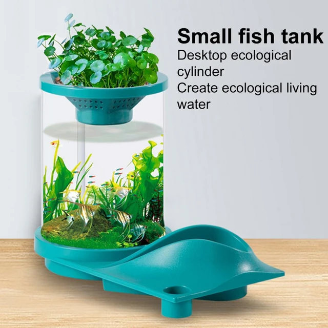 Desktop Fish Tank Easy-installing Fish Tank with Storage Holder Creative  Ecological Landscape Small Aquarium Tank Ornamental - AliExpress