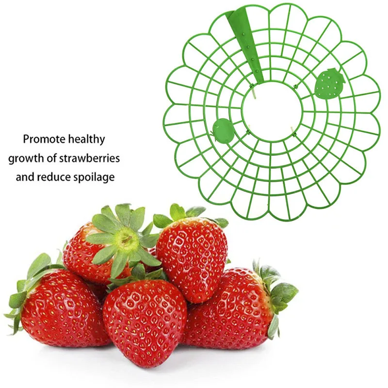 Pianta Fragola Confezione Da 20 Supporti Per Fragole, Supporto Per Piante Di Fragole Supporto Per Fragole