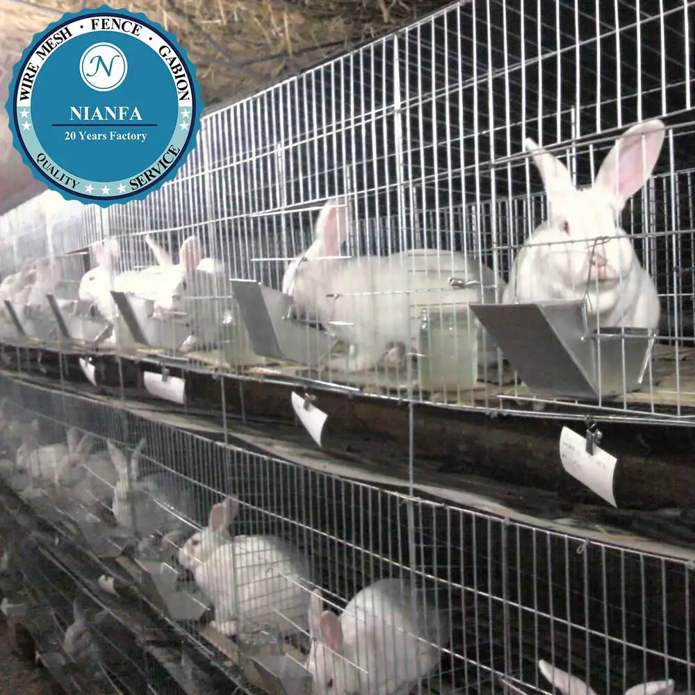 

Low Price and High Quality Rabbit Layer Cage (Guangzhou manufacturer)