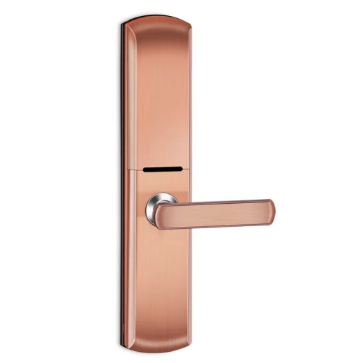 Рисунок 4 - Смарт-отпечаток пальца пароль безключевой