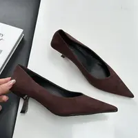 Bailamos 2024 Autumn Pointed Toe Women Sexy Shallow Slip On Pumps Shoes Fashion Thin High Heel Ladies Elegant Dress Shoes Mujer - Image 5