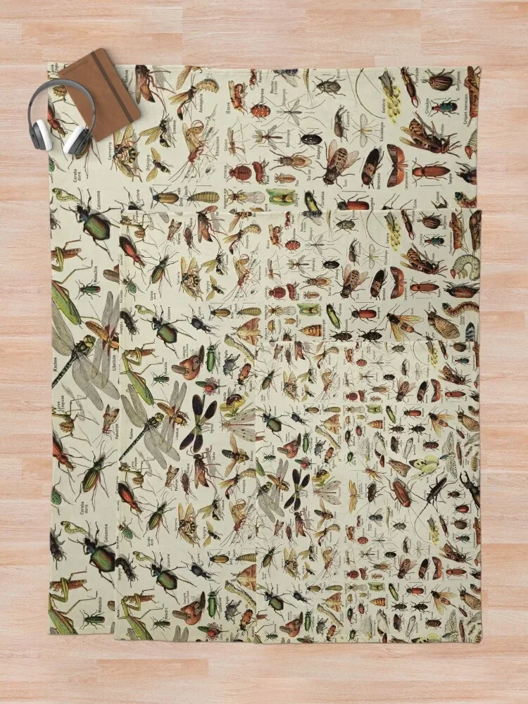 ���� ��Ʈ. ������ �Ϸ���Ʈ���̼�, �ؽ�Ʈ ����ġ ������ ���, �Ϳ���  �̺� ���